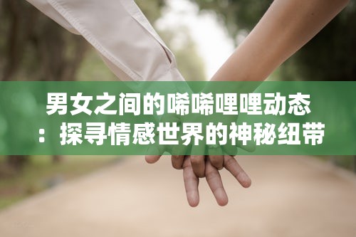 男女之间的唏唏哩哩动态：探寻情感世界的神秘纽带