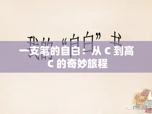 一支笔的自白：从 C 到高 C 的奇妙旅程