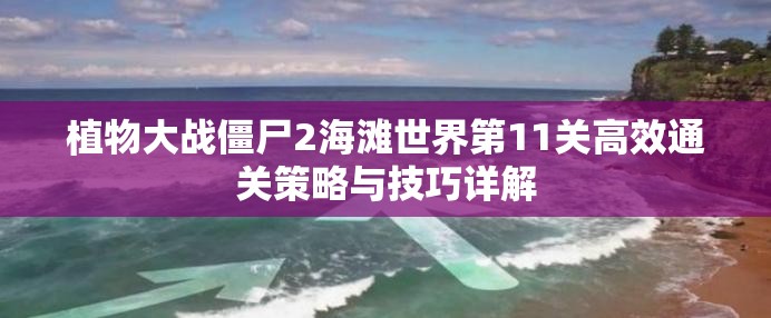 植物大战僵尸2海滩世界第11关高效通关策略与技巧详解