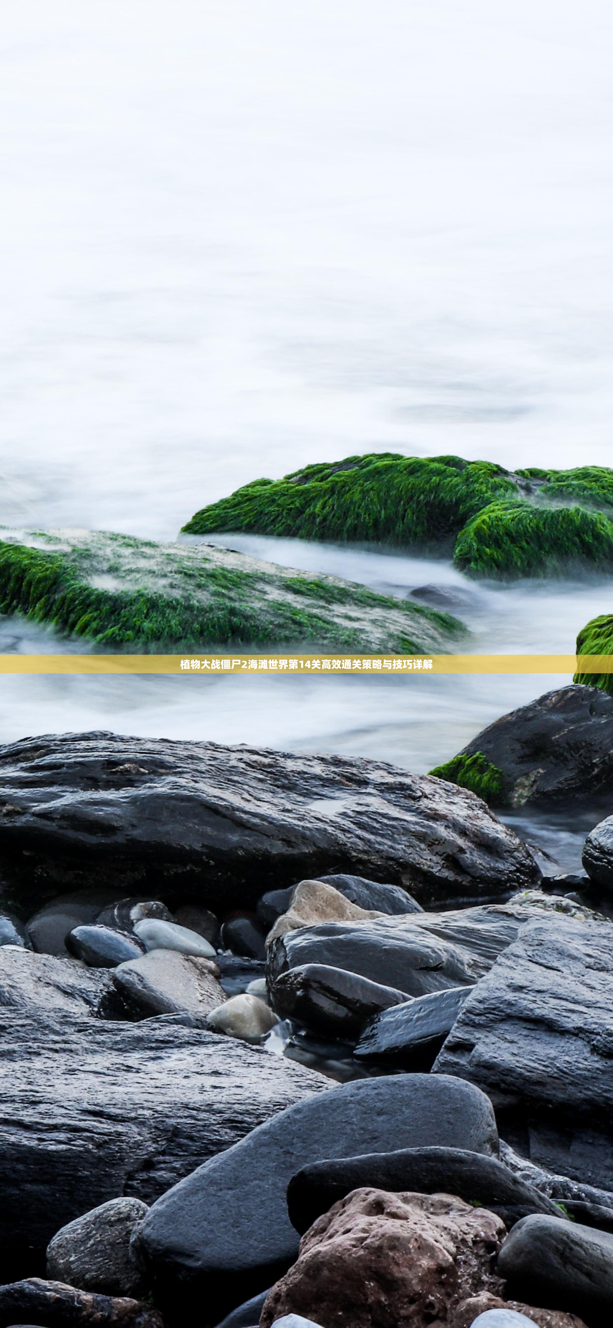 植物大战僵尸2海滩世界第14关高效通关策略与技巧详解