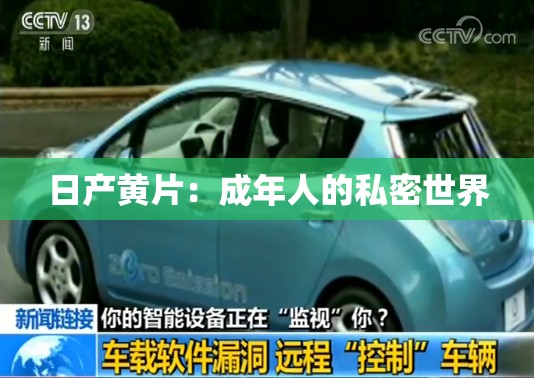 日产黄片：成年人的私密世界