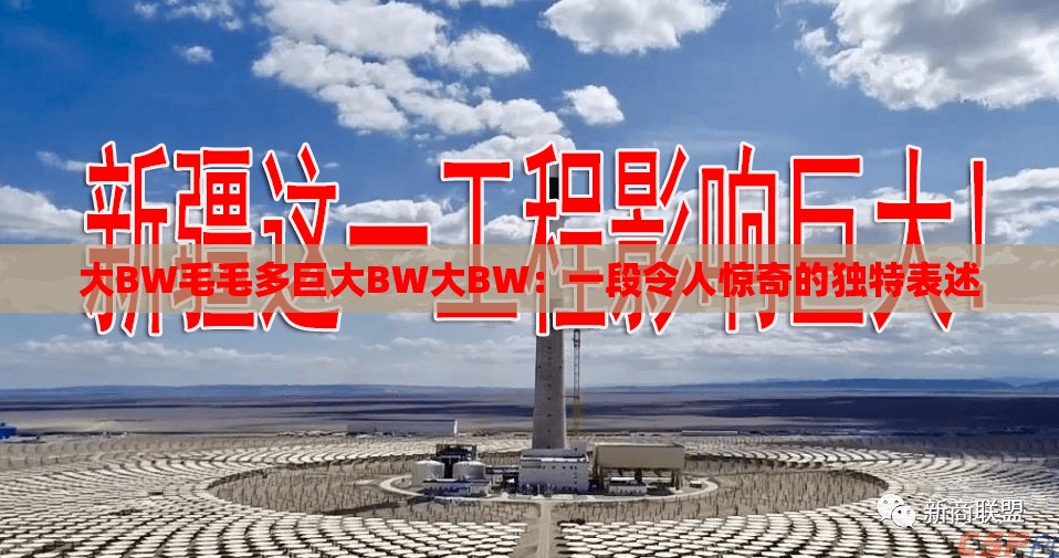 大BW毛毛多巨大BW大BW：一段令人惊奇的独特表述