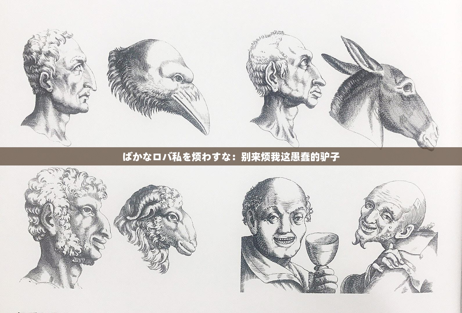 ばかなロバ私を烦わすな：别来烦我这愚蠢的驴子