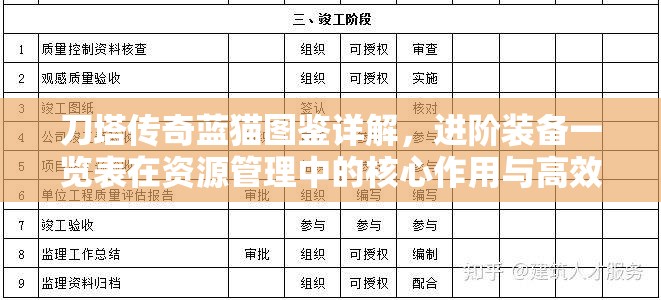 刀塔传奇蓝猫图鉴详解，进阶装备一览表在资源管理中的核心作用与高效运用策略