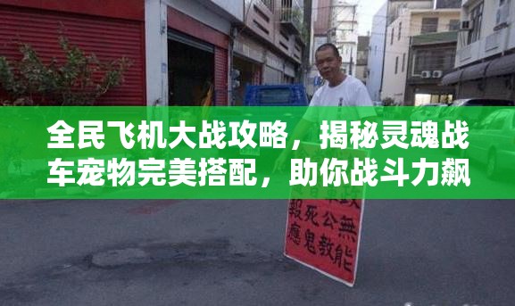 全民飞机大战攻略，揭秘灵魂战车宠物完美搭配，助你战斗力飙升秘籍