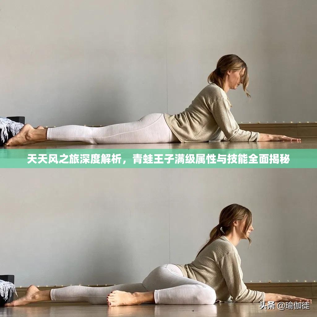 天天风之旅深度解析，青蛙王子满级属性与技能全面揭秘