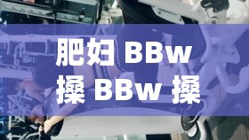肥妇 BBw 搡 BBw 搡 BBw：肥胖女性之间的激情碰撞