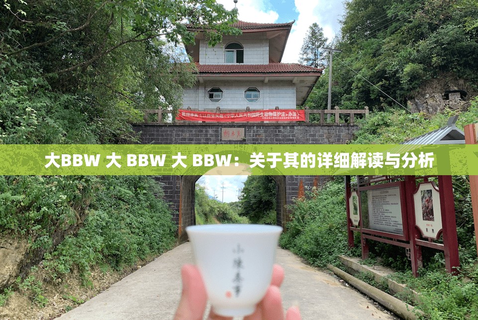 大BBW 大 BBW 大 BBW：关于其的详细解读与分析