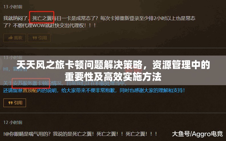 天天风之旅卡顿问题解决策略，资源管理中的重要性及高效实施方法