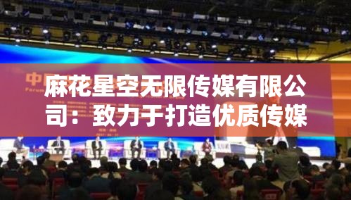 麻花星空无限传媒有限公司：致力于打造优质传媒内容的领军企业