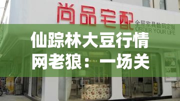 仙踪林大豆行情网老狼：一场关于大豆的财经之旅