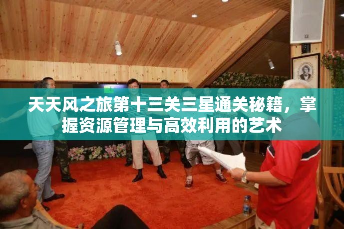 天天风之旅第十三关三星通关秘籍，掌握资源管理与高效利用的艺术