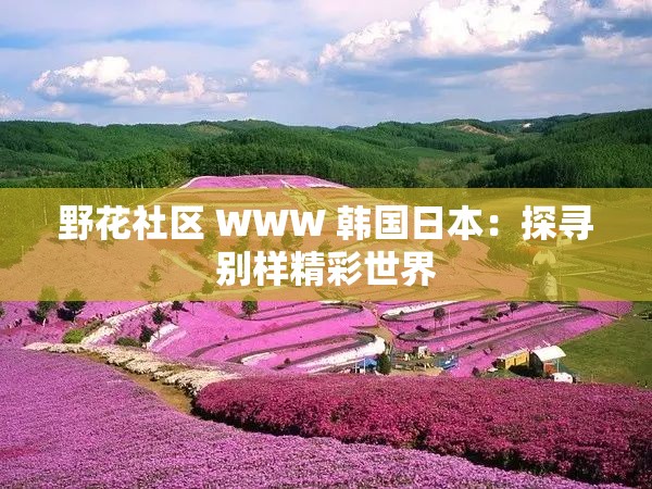 野花社区 WWW 韩国日本：探寻别样精彩世界