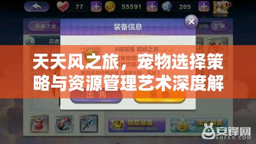 天天风之旅，宠物选择策略与资源管理艺术深度解析