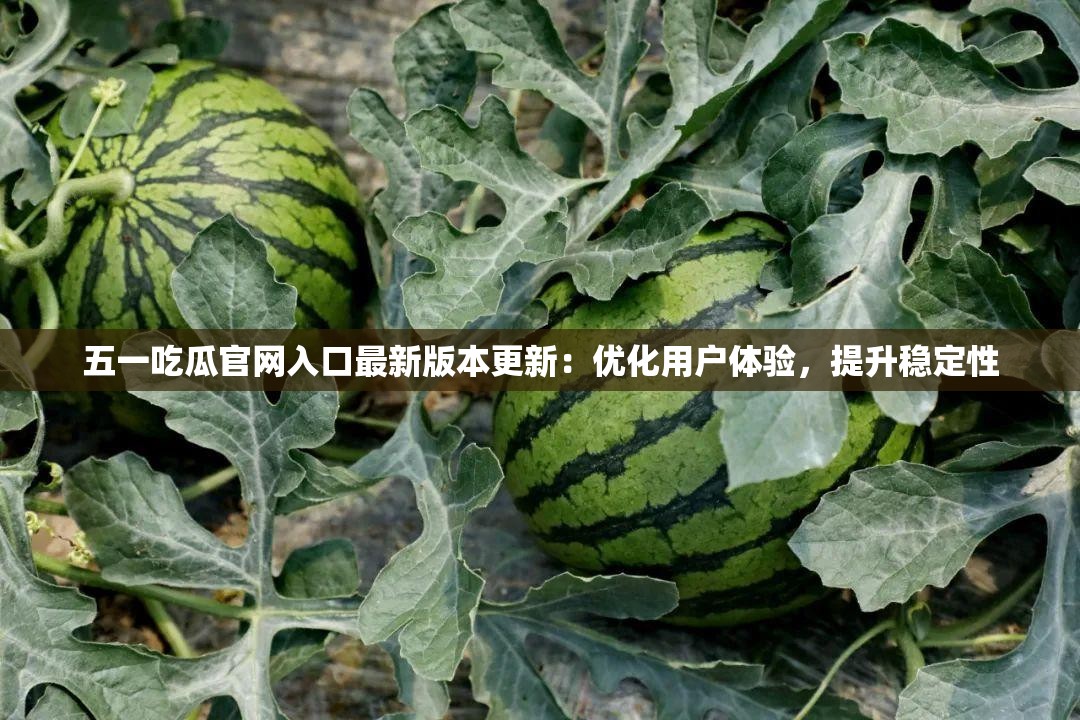 五一吃瓜官网入口最新版本更新：优化用户体验，提升稳定性