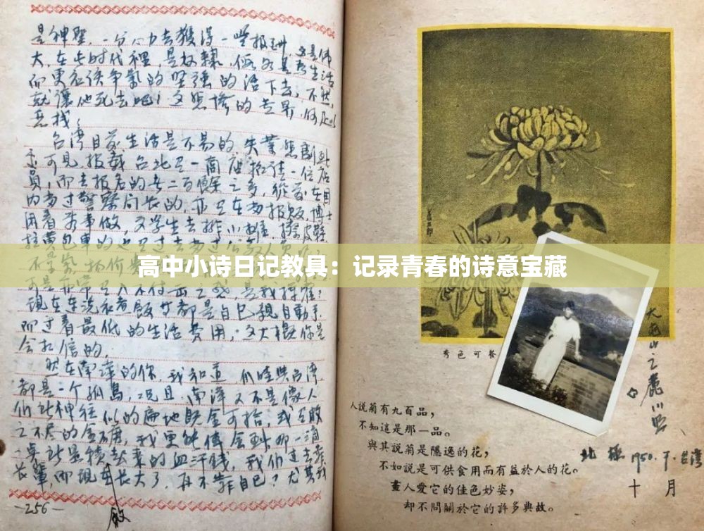 高中小诗日记教具：记录青春的诗意宝藏