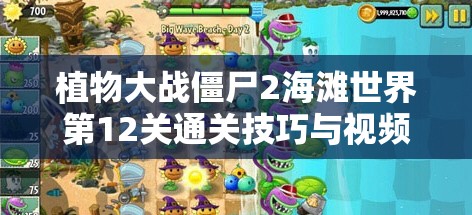植物大战僵尸2海滩世界第12关通关技巧与视频攻略全解析