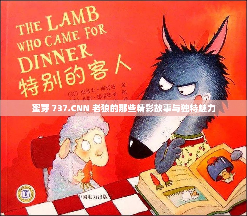 蜜芽 737.CNN 老狼的那些精彩故事与独特魅力