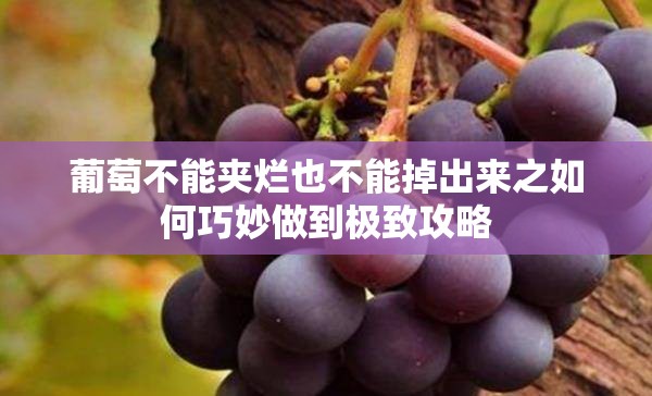 葡萄不能夹烂也不能掉出来之如何巧妙做到极致攻略