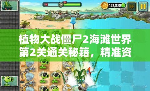 植物大战僵尸2海滩世界第2关通关秘籍，精准资源管理、高效利用策略及避免浪费技巧