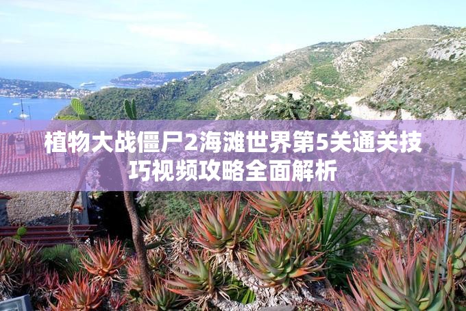 植物大战僵尸2海滩世界第5关通关技巧视频攻略全面解析