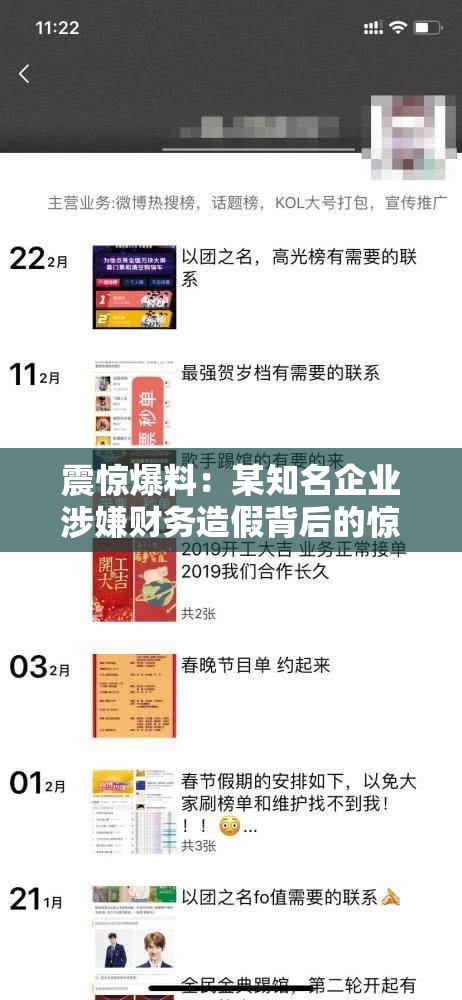 震惊爆料：某知名企业涉嫌财务造假背后的惊人内幕