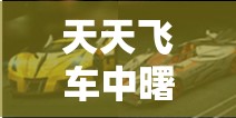 天天飞车中曙光与龙魂车辆资源管理重要性及高效对比分析策略