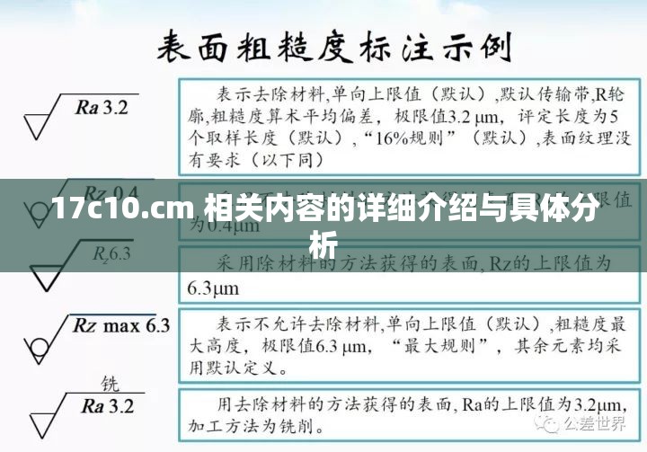 17c10.cm 相关内容的详细介绍与具体分析