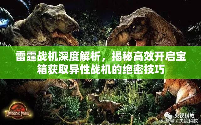 雷霆战机深度解析，揭秘高效开启宝箱获取异性战机的绝密技巧