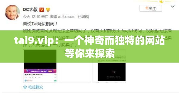 tai9.vip：一个神奇而独特的网站等你来探索