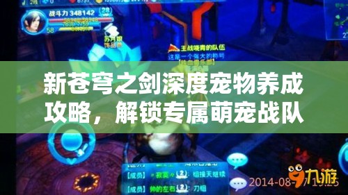 新苍穹之剑深度宠物养成攻略，解锁专属萌宠战队构建秘籍