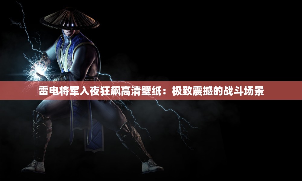 雷电将军入夜狂飙高清壁纸：极致震撼的战斗场景