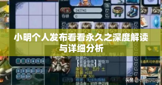 小明个人发布看看永久之深度解读与详细分析