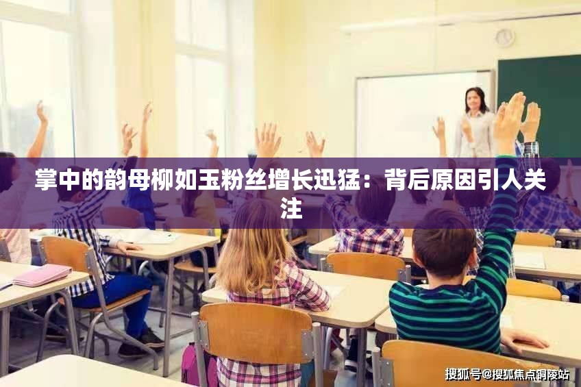 掌中的韵母柳如玉粉丝增长迅猛：背后原因引人关注