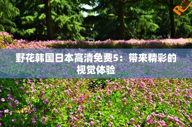 野花韩国日本高清免费5：带来精彩的视觉体验