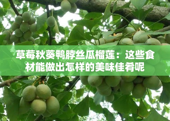 草莓秋葵鸭脖丝瓜榴莲：这些食材能做出怎样的美味佳肴呢