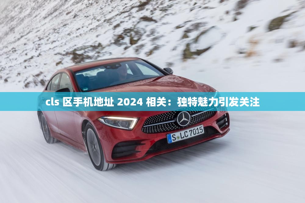 cls 区手机地址 2024 相关：独特魅力引发关注