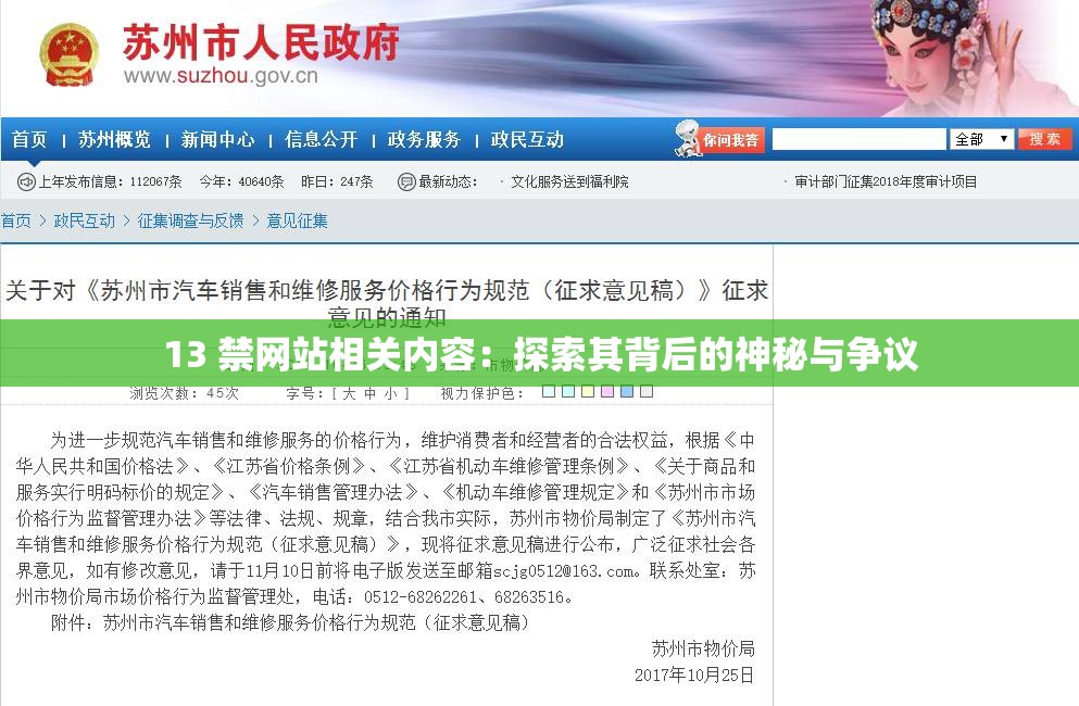13 禁网站相关内容：探索其背后的神秘与争议
