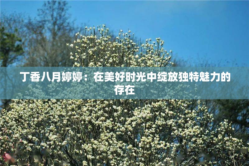 丁香八月婷婷：在美好时光中绽放独特魅力的存在