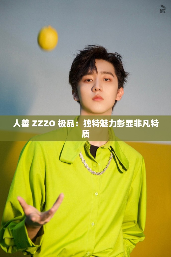 人善 ZZZO 极品：独特魅力彰显非凡特质
