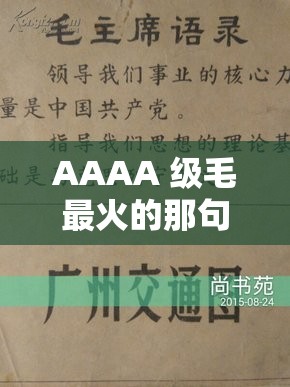 AAAA 级毛最火的那句经典话语究竟是什么