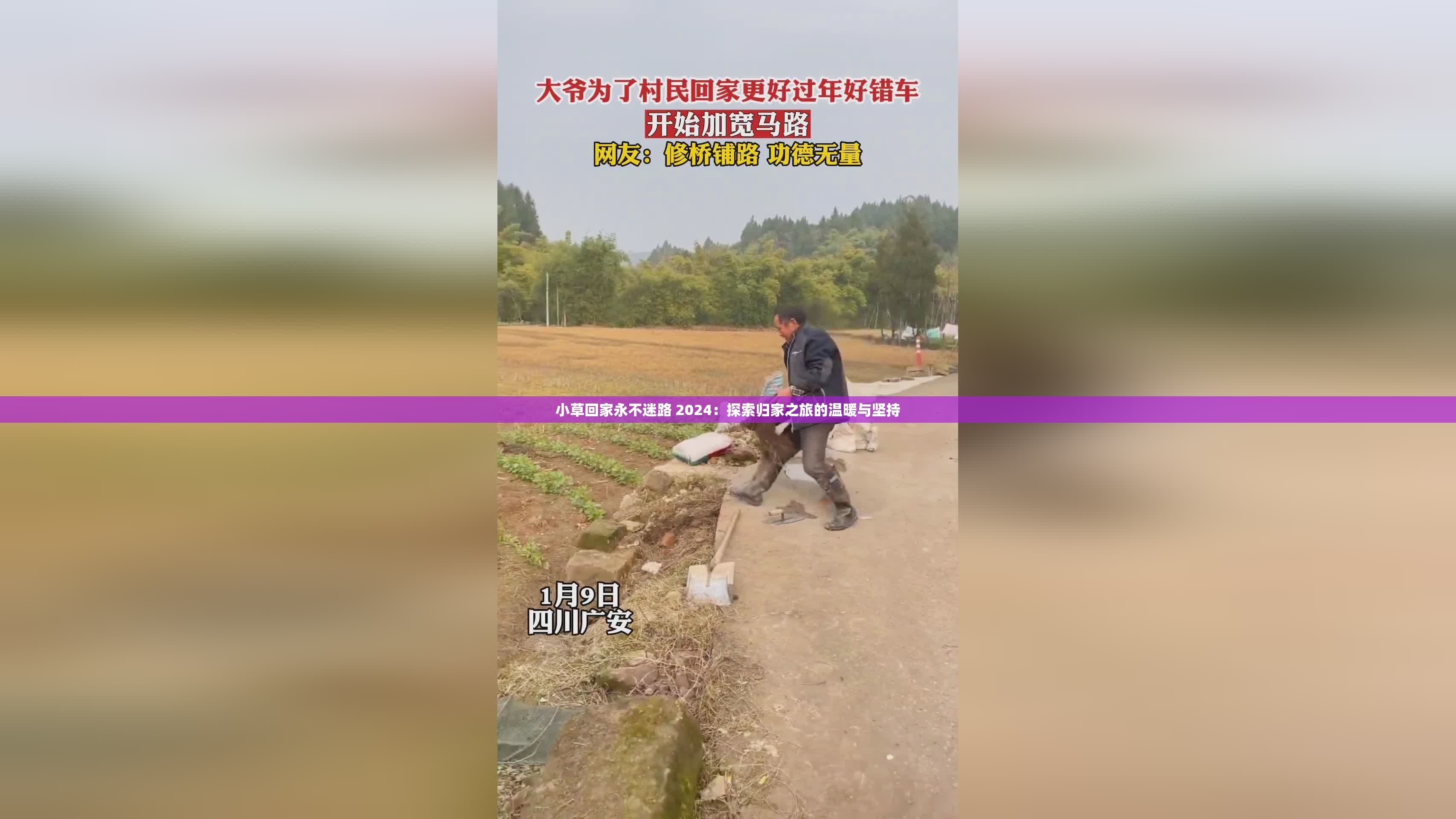 小草回家永不迷路 2024：探索归家之旅的温暖与坚持