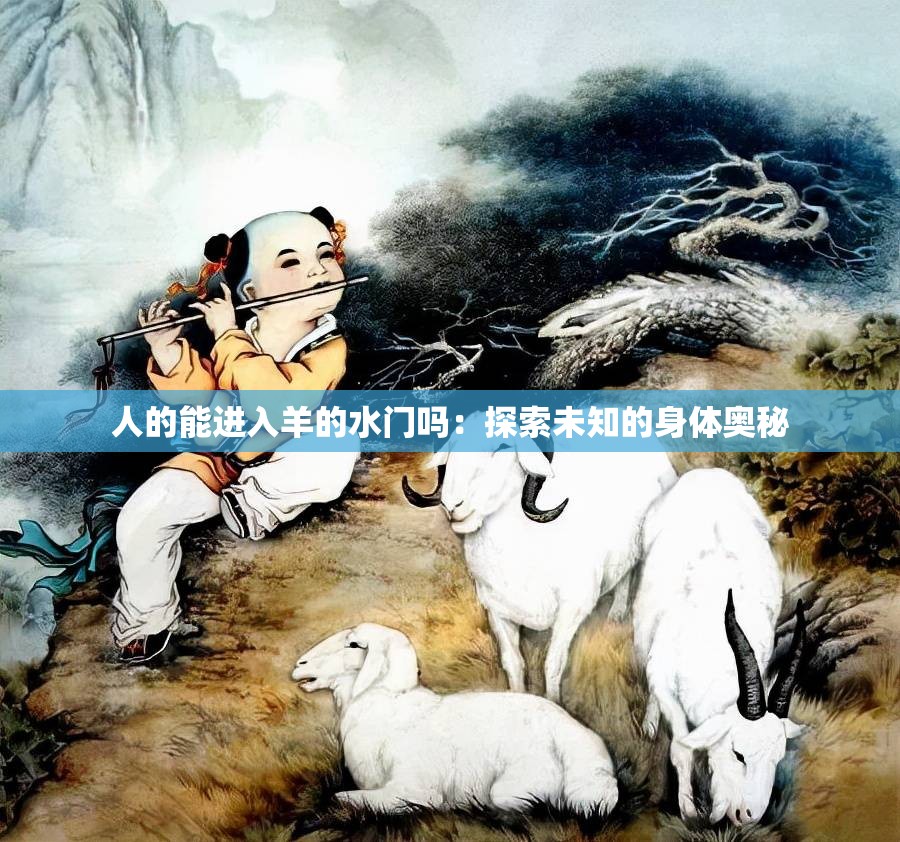 人的能进入羊的水门吗：探索未知的身体奥秘