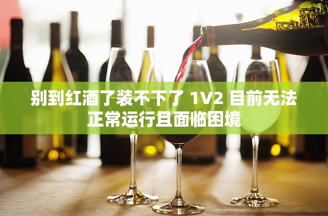 别到红酒了装不下了 1V2 目前无法正常运行且面临困境