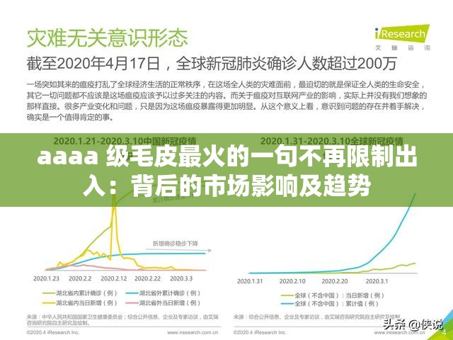 aaaa 级毛皮最火的一句不再限制出入：背后的市场影响及趋势