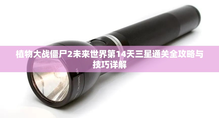 植物大战僵尸2未来世界第14天三星通关全攻略与技巧详解