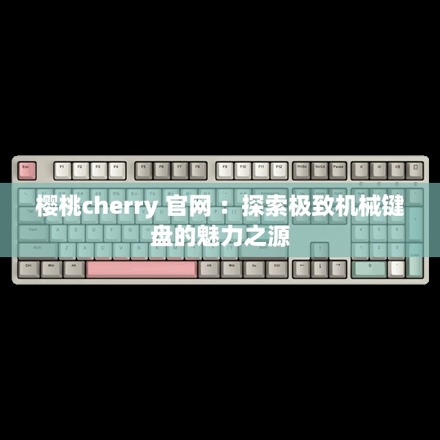 樱桃cherry 官网 ：探索极致机械键盘的魅力之源