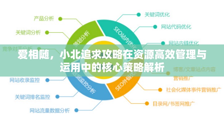 爱相随，小北追求攻略在资源高效管理与运用中的核心策略解析