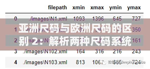 亚洲尺码与欧洲尺码的区别 2：解析两种尺码系统的不同之处