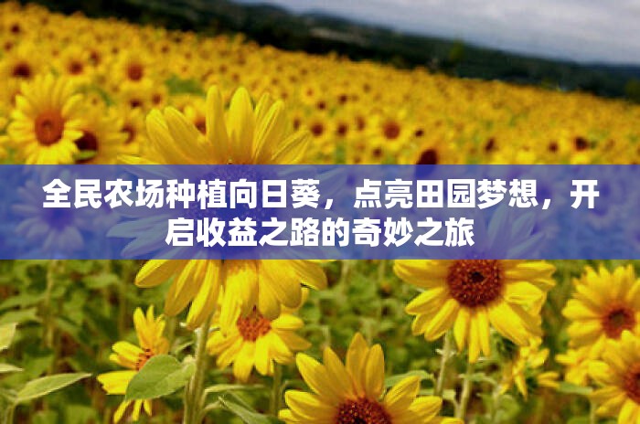 全民农场种植向日葵，点亮田园梦想，开启收益之路的奇妙之旅